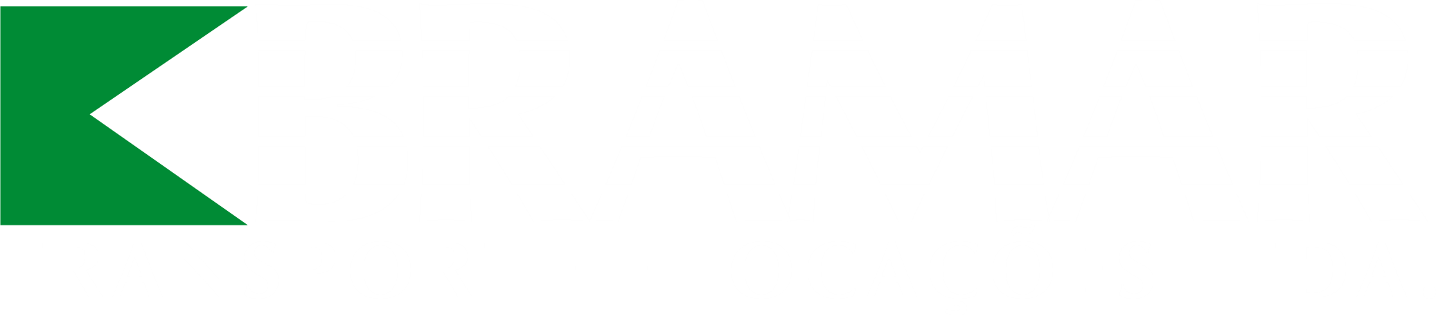 logo bramar branco ok